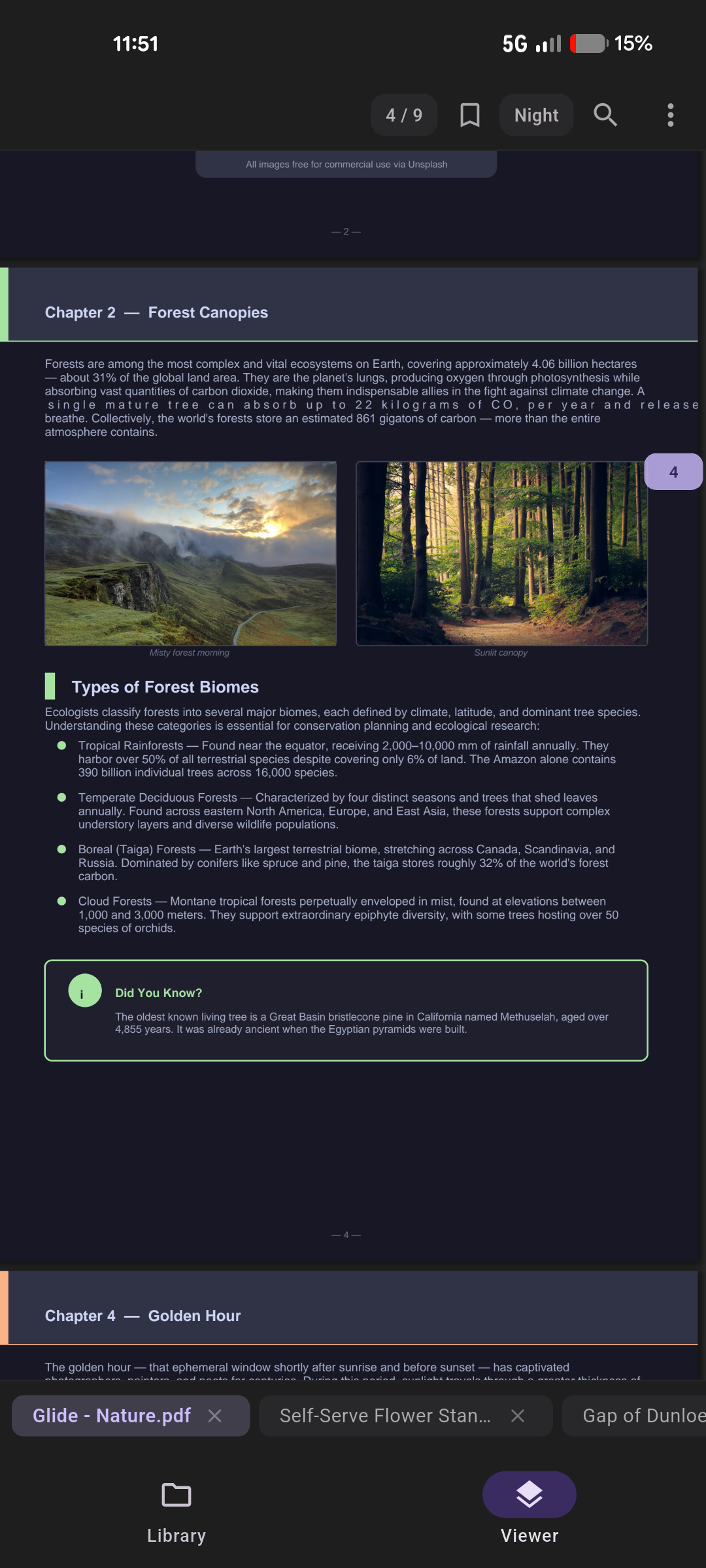 Reading view with document tabs along the bottom